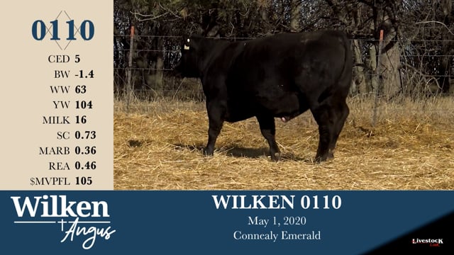 Lot #110 - WILKEN 0110