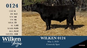 Lot #124 - WILKEN 0124