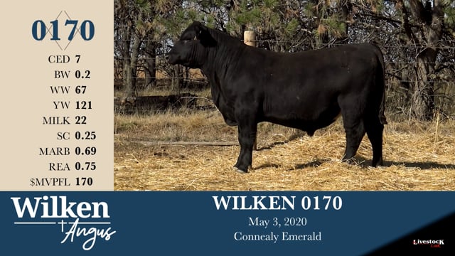 Lot #170 - WILKEN 0170