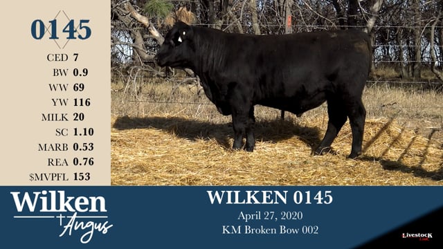 Lot #145 - WILKEN 0145