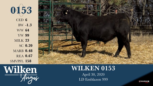 Lot #153 - WILKEN 04302020