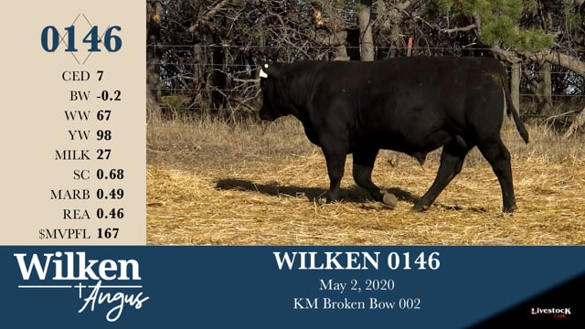 Lot #146 - WILKEN 0146
