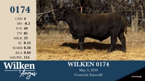 Lot #174 - WILKEN 0174