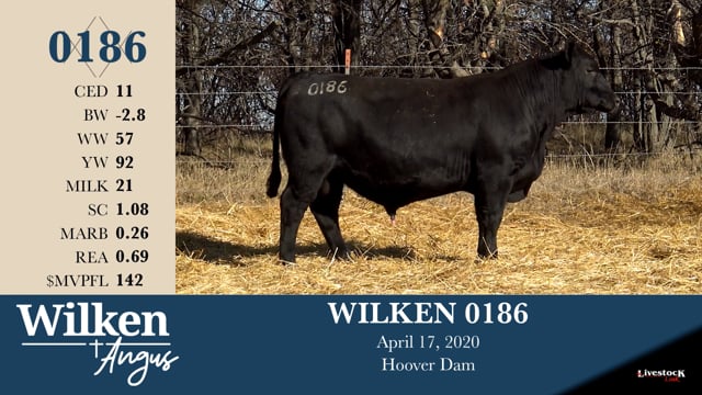 Lot #186 - WILKEN 0186 ***OUT OF SALE***
