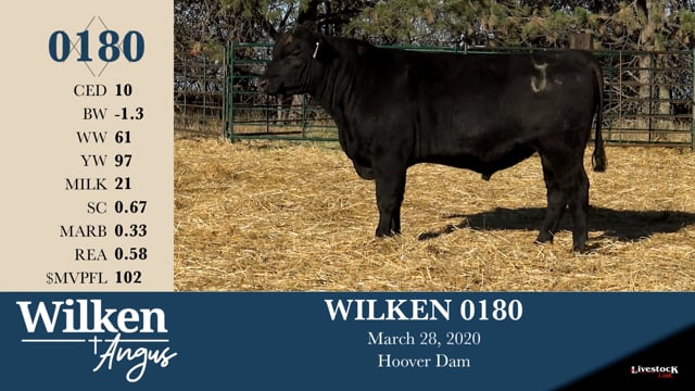 Lot #180 - WILKEN 0180