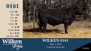 Lot #161 - WILKEN 0161