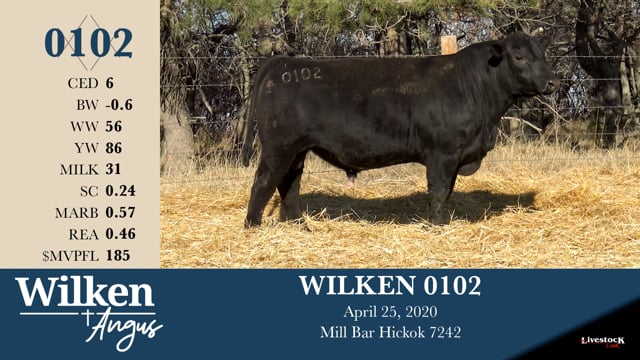 Lot #102 - WILKEN 0102
