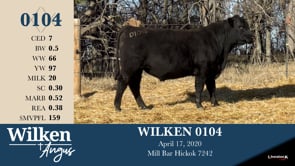 Lot #104 - WILKEN 0104