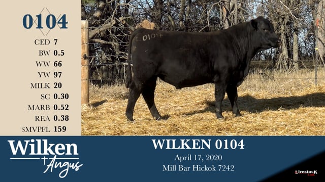 Lot #104 - WILKEN 0104