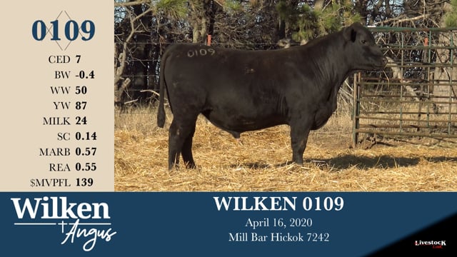 Lot #109 - WILKEN 0109