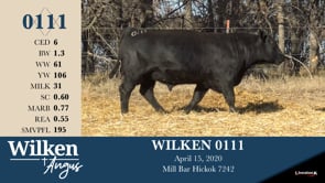 Lot #111 - WILKEN 0111