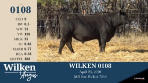 Lot #108 - WILKEN 0108