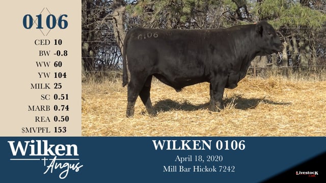 Lot #106 - WILKEN 0106