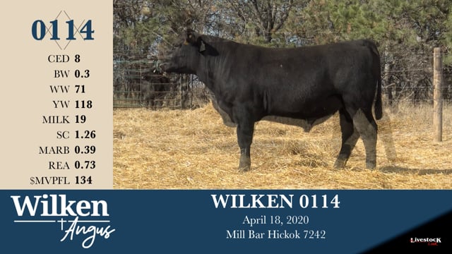 Lot #114 - WILKEN 0114
