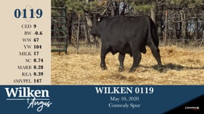 Lot #119 - WILKEN 0119