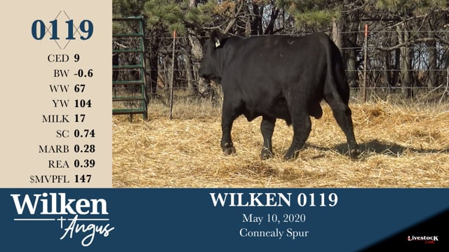 Lot #119 - WILKEN 0119