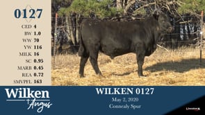Lot #127 - WILKEN 0127