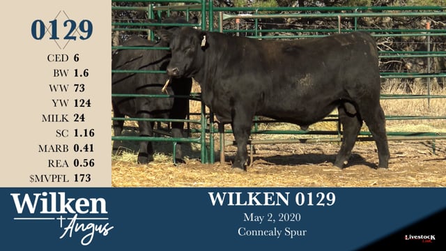Lot #129 - WILKEN 0129