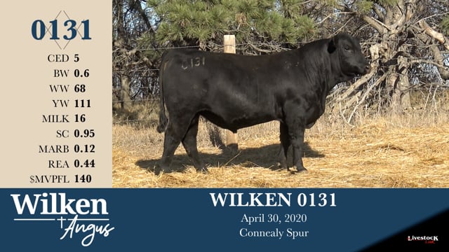 Lot #131 - WILKEN 0131