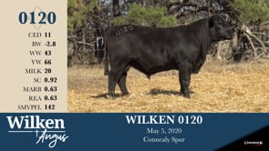 Lot #120 - WILKEN 0120