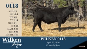 Lot #118 - WILKEN 0118
