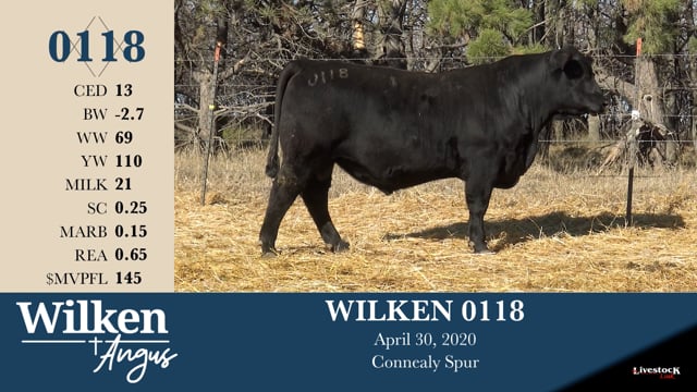 Lot #118 - WILKEN 0118