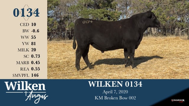 Lot #134 - WILKEN 0134