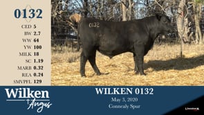 Lot #132 - WILKEN 0132