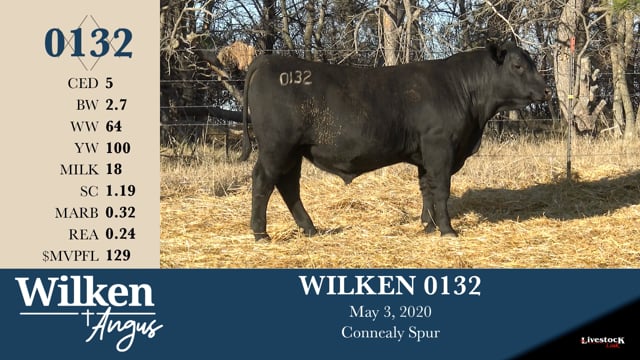 Lot #132 - WILKEN 0132