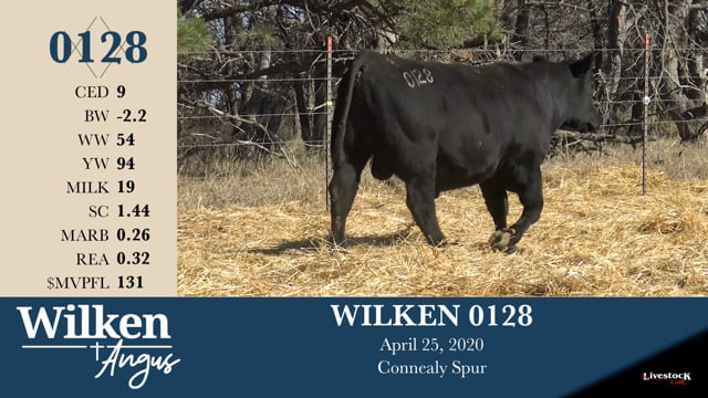 Lot #128 - WILKEN 0128