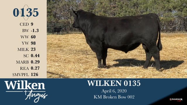 Lot #135 - WILKEN 0135