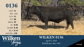 Lot #136 - WILKEN 0136