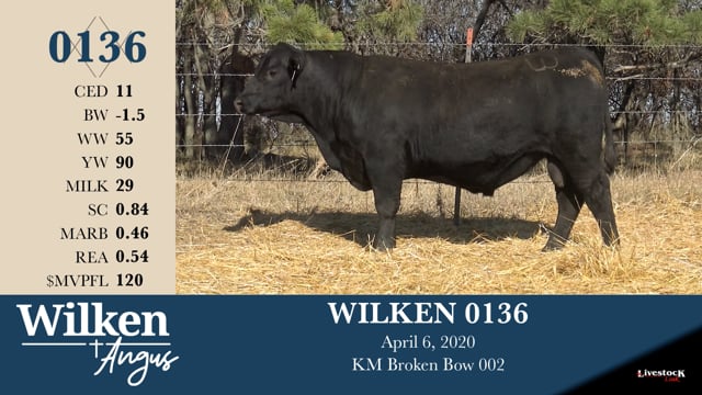 Lot #136 - WILKEN 0136