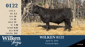 Lot #122 - WILKEN 0122