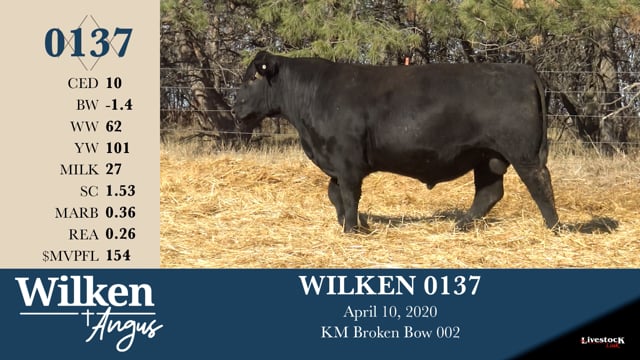 Lot #137 - WILKEN 0137