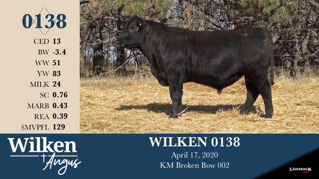 Lot #138 - WILKEN 0138
