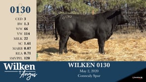 Lot #130 - WILKEN 0130