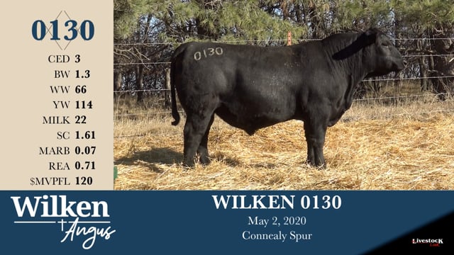 Lot #130 - WILKEN 0130