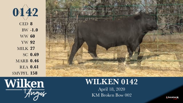 Lot #142 - WILKEN 0142