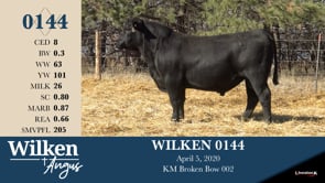 Lot #144 - WILKEN 0144