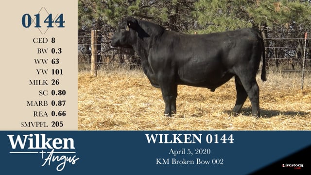 Lot #144 - WILKEN 0144