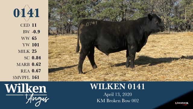 Lot #141 - WILKEN 0141