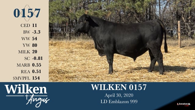 Lot #157 - WILKEN 0157
