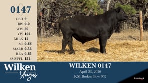 Lot #147 - WILKEN 0147