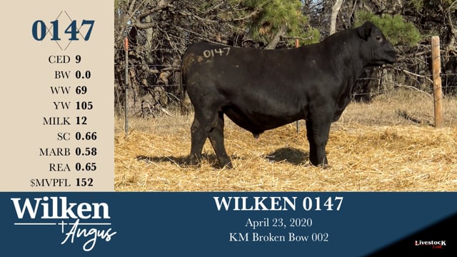 Lot #147 - WILKEN 0147