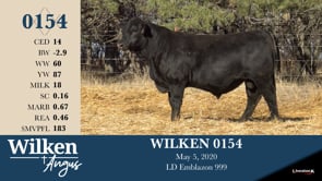 Lot #154 - WILKEN 0154