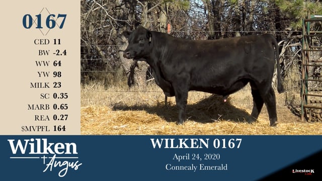 Lot #167 - WILKEN 0167
