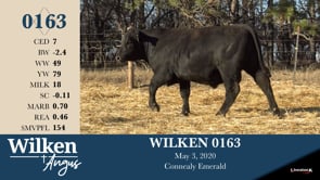 Lot #163 - WILKEN 0163