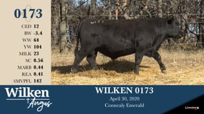 Lot #173 - WILKEN 0173