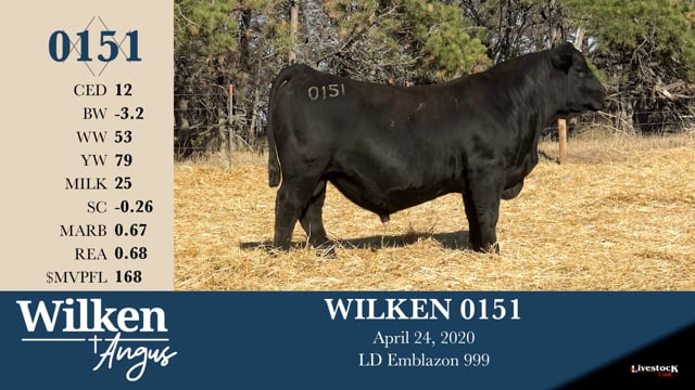 Lot #151 - WILKEN 0151